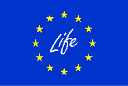 Life Logo